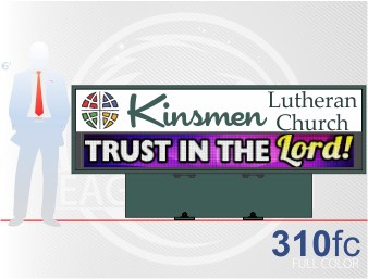 Affordable LED Sign Eagle 310 Full Color