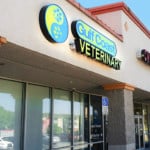Gulf Coast Veterinary Spring Hill FL Channel Letter Sign